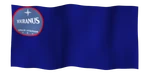 Youranusflaga.png