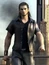 Gladiolus