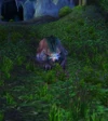 OsoBramblescar