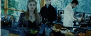 Twilight-rose-twilight-series-15927690-210-84