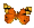 Flitterby.png
