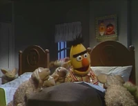 BertsBlanket01.jpg