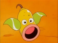 Joe Weepinbell