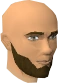 Zealot chathead.png