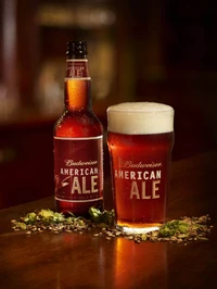 Bud American Ale