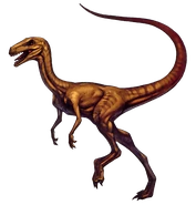 DC2Compsognathus
