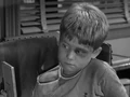 Opieandbully231