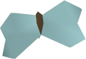 Sapphire glacialis 1
