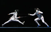 Fencing 1