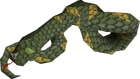 Dead swamp snake