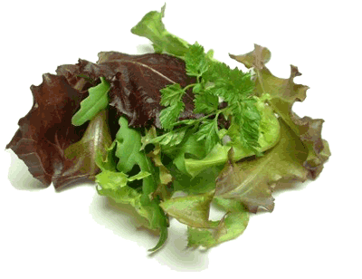 mesclun salad mix