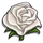 White Rose-icon.png