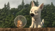 5387894832 694751f049 b.jpg