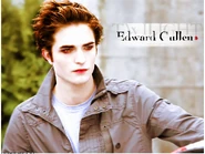 Edward Cullen