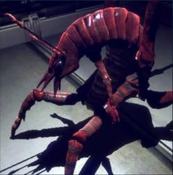 Rachni Codex Image