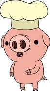 Pig6