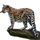 Item amurleopard 01.png
