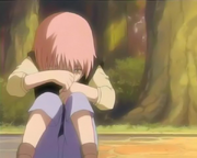 Sakura 001