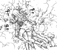 Protecting Lisanna