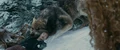Riley-dies.jpg