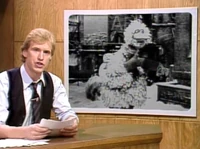 Snl1983BigBird.jpg