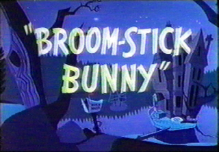 Broomstick Bunny