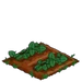 Straspberry 33