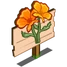 Golden Poppies