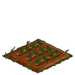 Leek 33