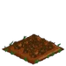 Leek withered