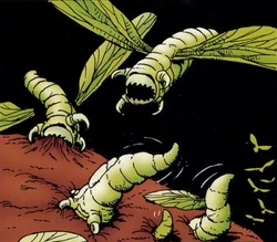 Fleshborer