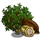Cocoa Tree-icon
