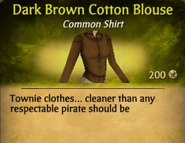 Dark Brown Cotton Blouse