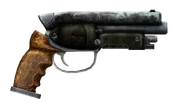 FNVThatGun