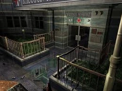 Raccoonhospital