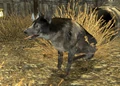 Colmillo.jpg