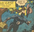 Black Rogue.png