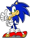Sonic Advance
