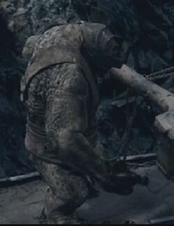 Mountain trolls