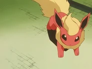 Koume Flareon