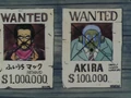 Toribotwanted
