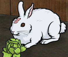 RabbertKlein