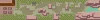 Hoenn Route 113