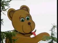 The Bear