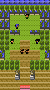Celadon Gym GS