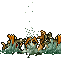 tarma