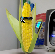 Cob