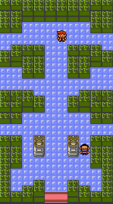 Viridian Gym GS