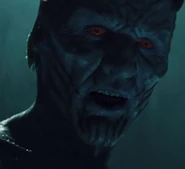 Laufey