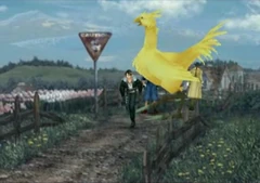 Winhill Chocobo